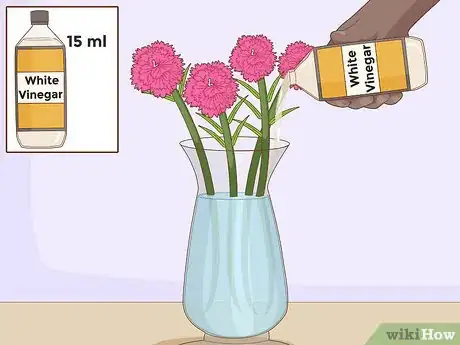 Image titled Water Carnations Step 11