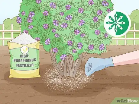 Image titled Care for a Purple Flower Potato Bush Step 9