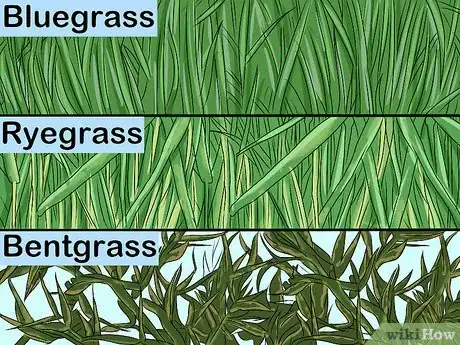 Image titled Choose Sod for Your Yard Step 1