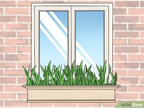 Image titled Decorate Windows Step 16