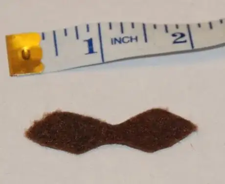 Image titled George ear.JPG