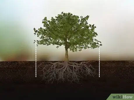 Image titled Protect Trees During Construction Step 1