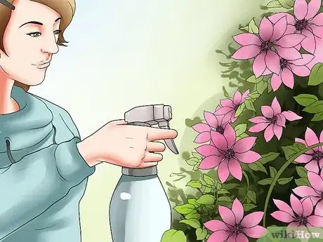 Image titled Grow Clematis in Pots Step 20