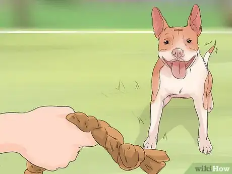 Image titled Identify and Correct Unwanted Dog Behaviors Step 5