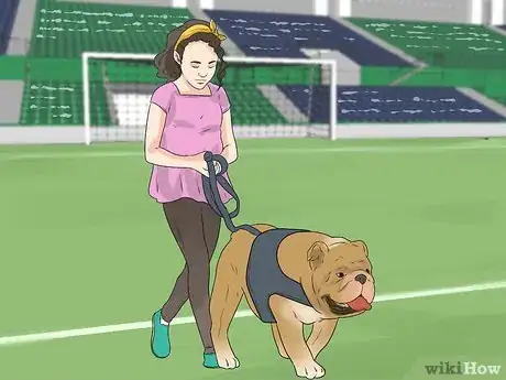 Image titled Care for Bulldogs Step 8
