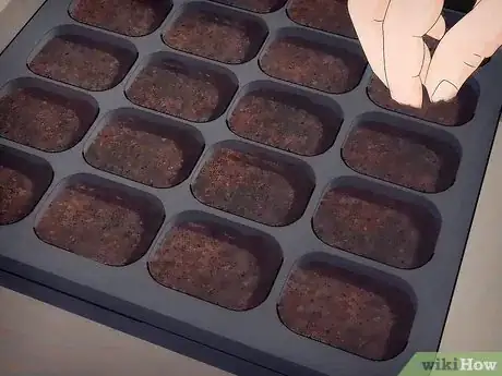 Image titled Plant a Fall Vegetable Garden Step 6