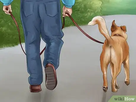 Image titled Know if You Are Ready for a Dog Step 18