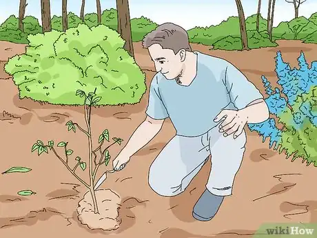 Image titled Feed Wildlife in the Autumn Step 6