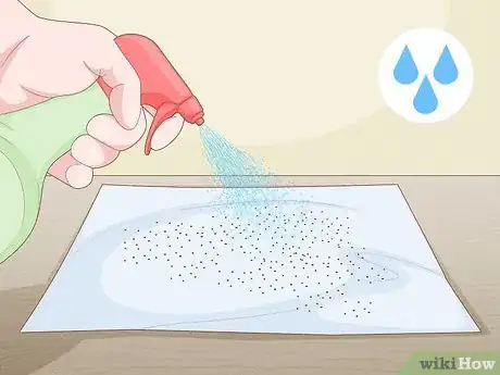 Image titled Grow Rainbow Eucalyptus Step 3