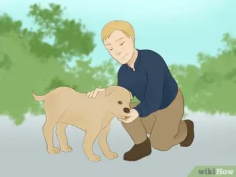 Image titled Catch Your Dog when They Run After Another Dog or Person Step 7