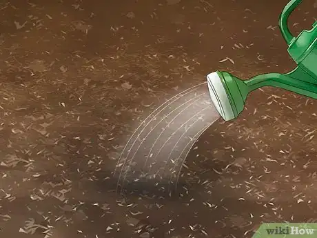 Image titled Grow Tiger Lilies Step 7