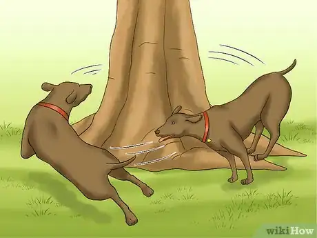 Image titled Walk a Dog in the Woods Step 16