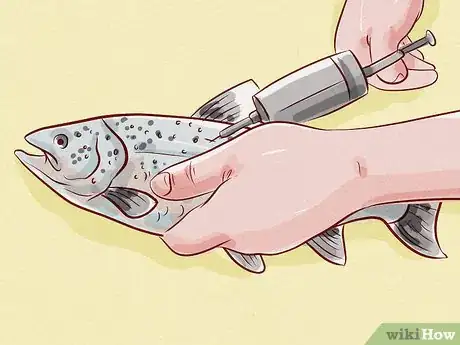 Image titled Buy Smoked Salmon Step 3