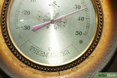 Image titled Alleviate Dry Skin in Dogs Step 8