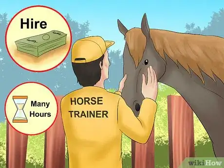 Image titled Calm Your Hot Horse Step 3