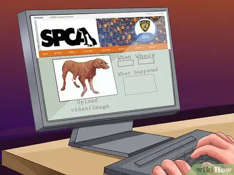 Image titled Report Animal Abuse Step 5