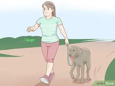 Image titled Stop a Dog from Pawing Step 9
