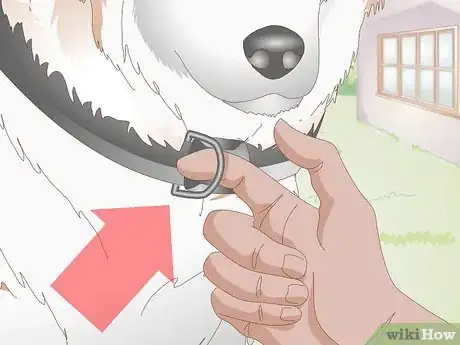 Image titled Find the Right Collar for Your Dog Step 3