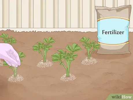 Image titled Grow a Garden Step 11