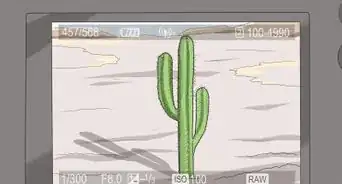 Take Good Photos of Nature