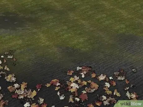 Image titled Kill Crane Flies Step 14