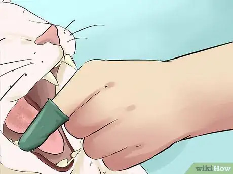 Image titled Take Care of a Japanese Bobtail Step 22