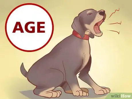 Image titled Find a Good Guard Dog Step 4
