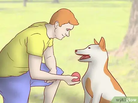 Image titled Strengthen an Older Dog's Immune System Step 8