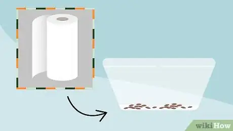 Image titled Grow Cress Step 6