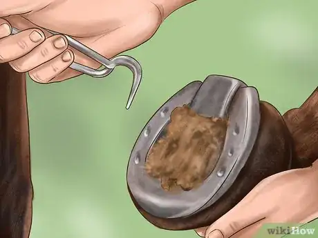 Image titled Maintain Good Hoof Care on Your Horse Step 9