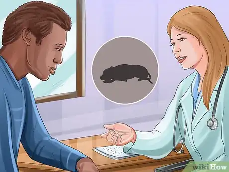 Image titled Treat Canine Stroke Step 9