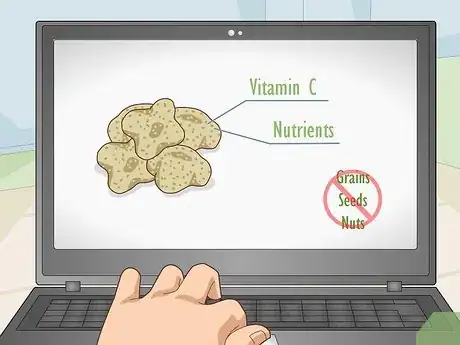 Image titled Change a Guinea Pig's Diet Step 2