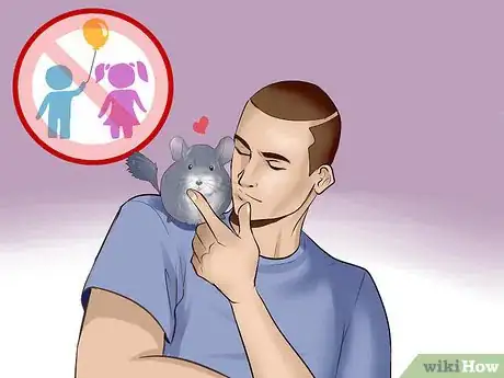 Image titled Know if a Chinchilla Is Right for You Step 5