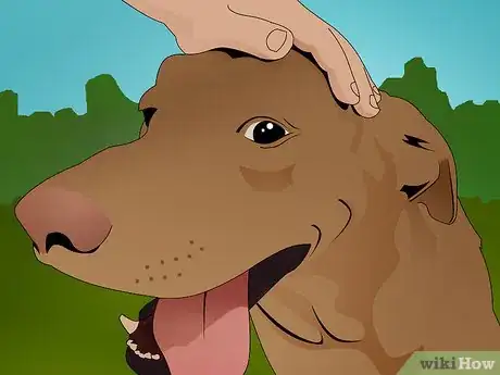 Image titled Alleviate Boredom at Home Step 13