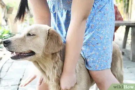 Image titled Alleviate Dry Skin in Dogs Step 9