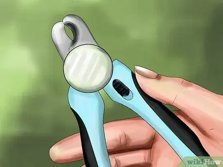 Image titled Choose Nail Trimmers for Your Cat Step 10
