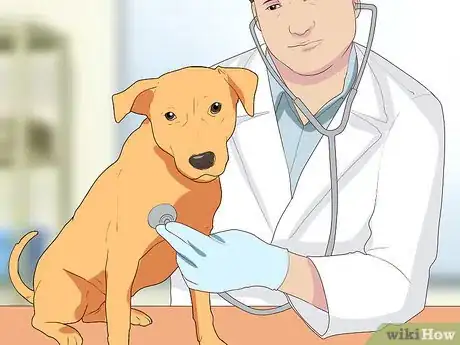 Image titled Diagnose Coughing in Dogs Step 10