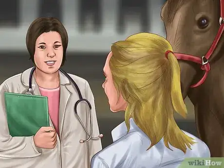 Image titled Heal a Cut on a Horse Step 6