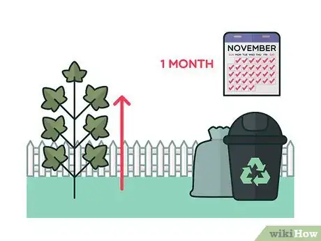 Image titled Get Rid of Ivy Step 4