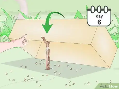 Image titled Trap a Robin Bird Step 6