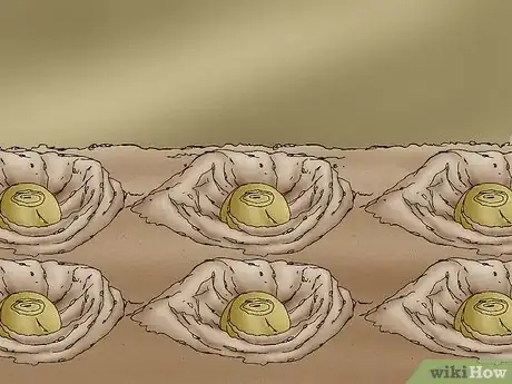 Image titled Propagate Daffodils Step 11