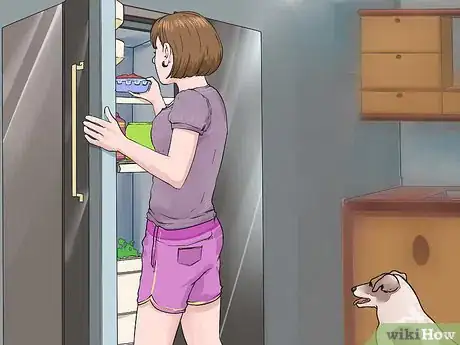 Image titled Protect Dogs and Cats from Household Dangers Step 1