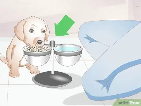 Image titled Get to Know Your Puppy Step 2