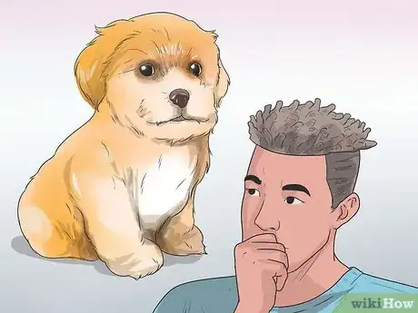 Image titled Care for Shihpoos Step 1