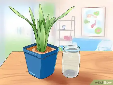 Image titled Water Plants While You're Away Step 8