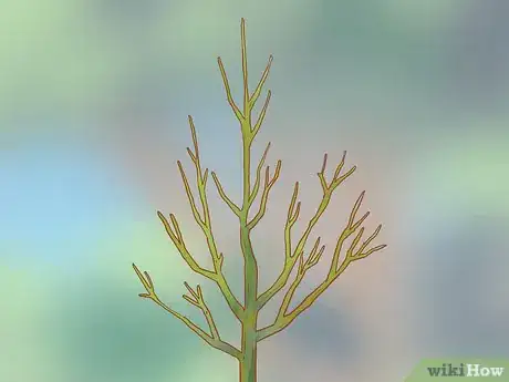 Image titled Prune a Fruit Tree Step 12