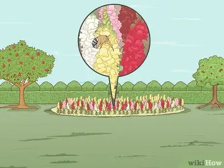 Image titled Pollinate Fruit Trees Step 6