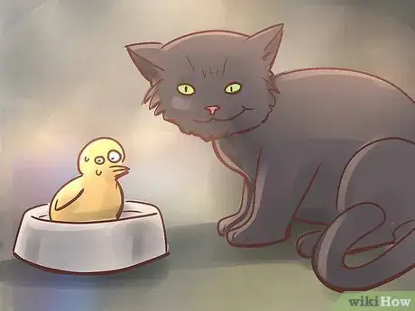 Image titled Diagnose IBD in Cats Step 11