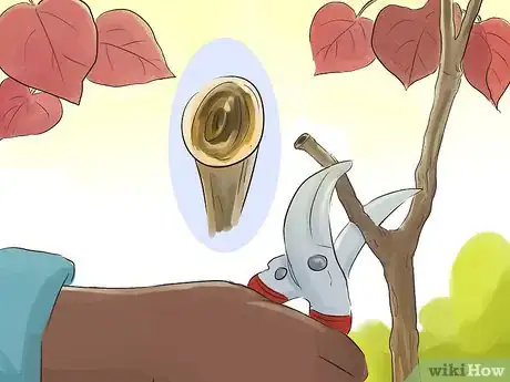 Image titled Prune a Redbud Tree Step 10