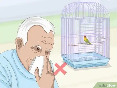 Image titled Treat Chlamydiosis in Lovebirds Step 3
